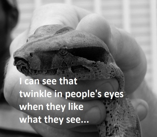 224215_212974375387402_3186565_n